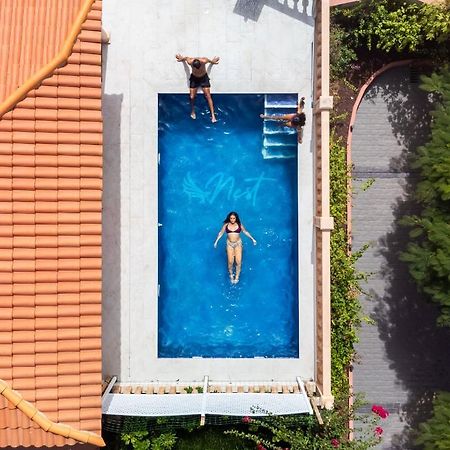 אדחה Duque Nest Hostel מראה חיצוני תמונה